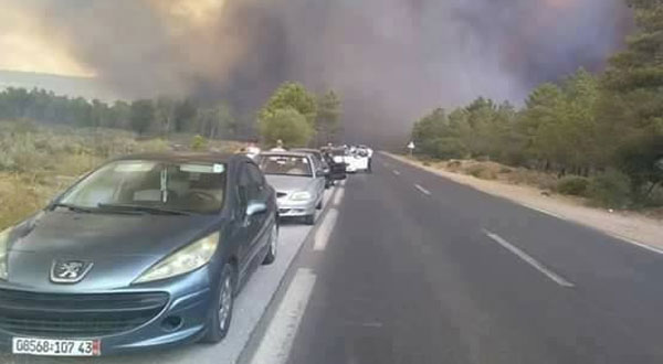 وزير الداخلية الجزائري يتوعد المتسببين في حرائق الغابات