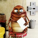 Spot Attak : yoktell