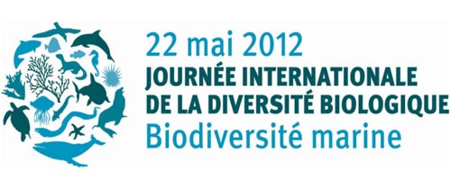 La biodiversité marine, thème de la Journée Internationale de la Biodiversité 