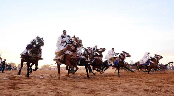 و زير الثقافة يُغادر مهرجان بوحجلة بسبب معركة بين فُرسان
