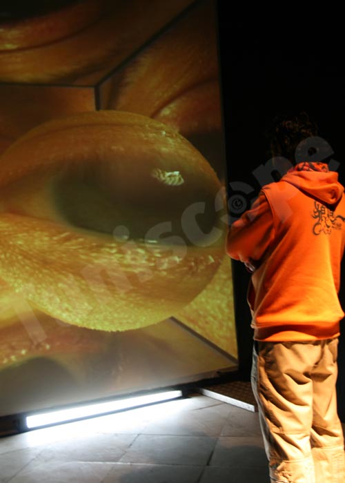 L’E-FEST est voyeur !  
