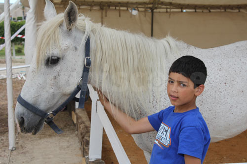 En Photos Et Vid Os 1er Salon Du Cheval Et De L Quitation Du 30 En Photos Et Vid Os 1er Salon Du Cheval Et De L Quitation Du 30