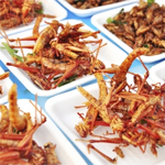 Pour lutter contre la faim, l’ONU recommande des insectes 