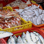 Réouverture du marché de poissons à Nabeul