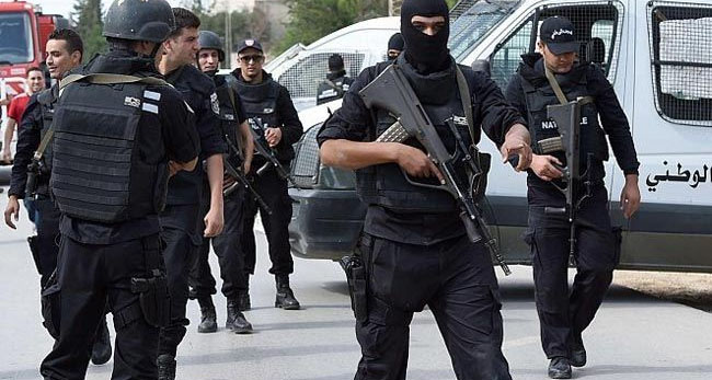 دوار هيشر: القبض على تكفيري يتواصل مع إرهابيين بسوريا