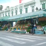Tunis fel 3id : où sont passés les gens ?