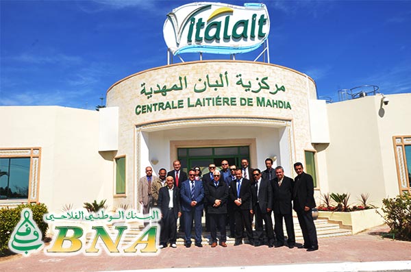 La BNA signe une convention tripartite en faveur des petits éleveurs bovins laitiers