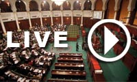 Live streaming : plénière extraordinaire pour célébrer la constitution