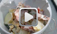 Koujinetna : Salade de crevettes