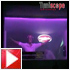 Armin Van Buuren au Calypso 
