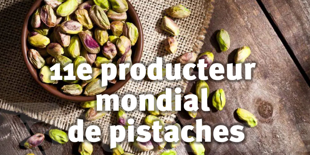 La Tunisie S'Affirme parmi les Leaders Mondiaux de la Production de Pistache