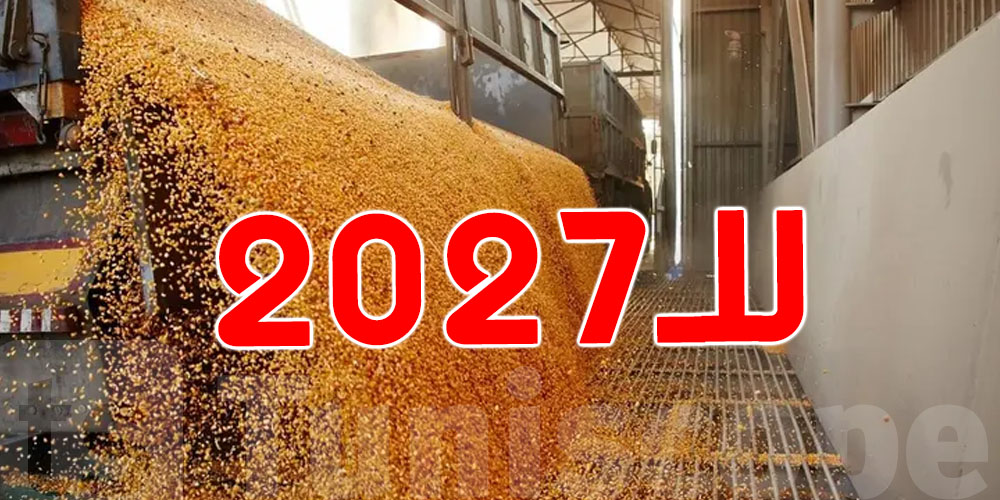 عاجل: دولة عربية عندها مخزون قمح يكفي حتى 2027