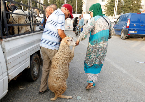  بالصور: الاحتفال بعيد الأضحى المبارك حول العالم