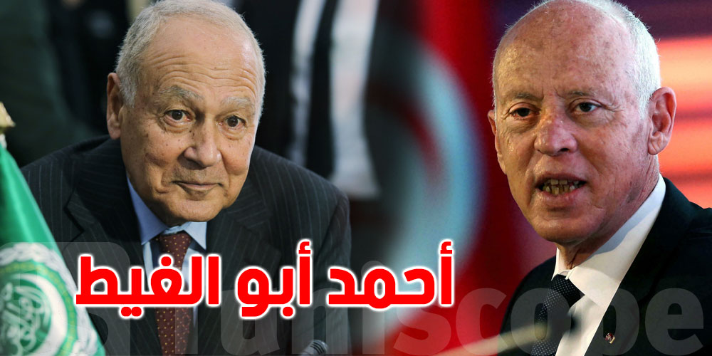 بالفيديو: أبو الغيط ''تونس تسير على الطريق الصحيح وقيس سعيد شجاع''