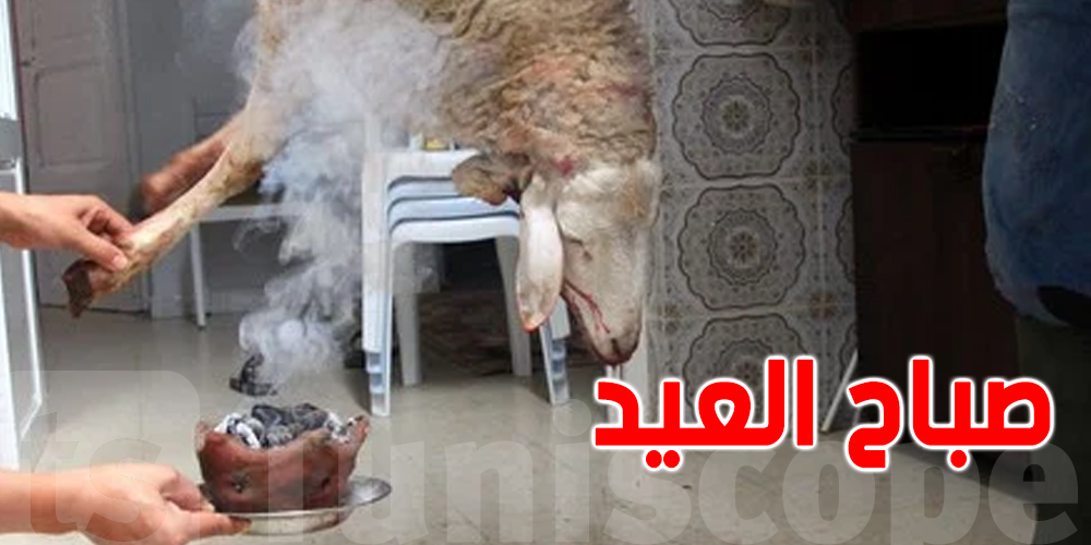 استعدادات العايلة التونسية صباح عيد الإضحى...كفاش ؟