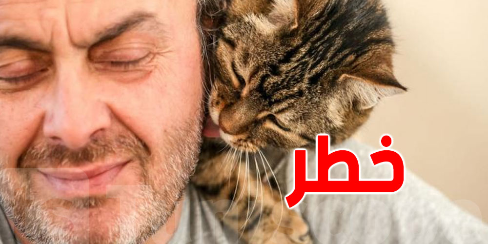 يهم محبي القطط : آثار ضارة على الصحة العقلية و دراسة على الخط