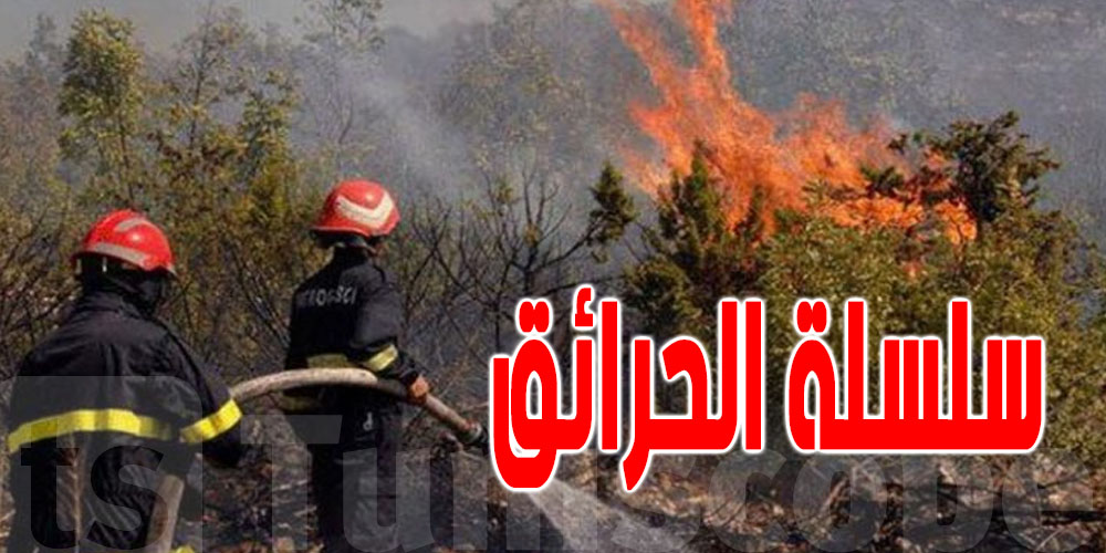 حرائق في الجزائر : إيقاف 4 أشخاص