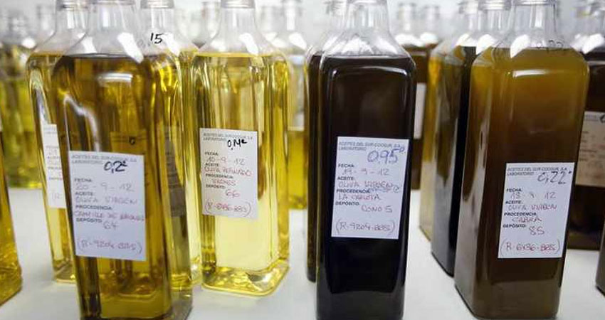 تونس تحقق أعلى نسبة نمو بالعالم في انتاج زيت الزيتون