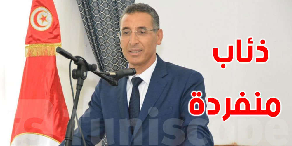 وزير الداخلية ''عدد الارهابيين في تونس يُعد على أصابع اليد وهم ذئاب منفردة''