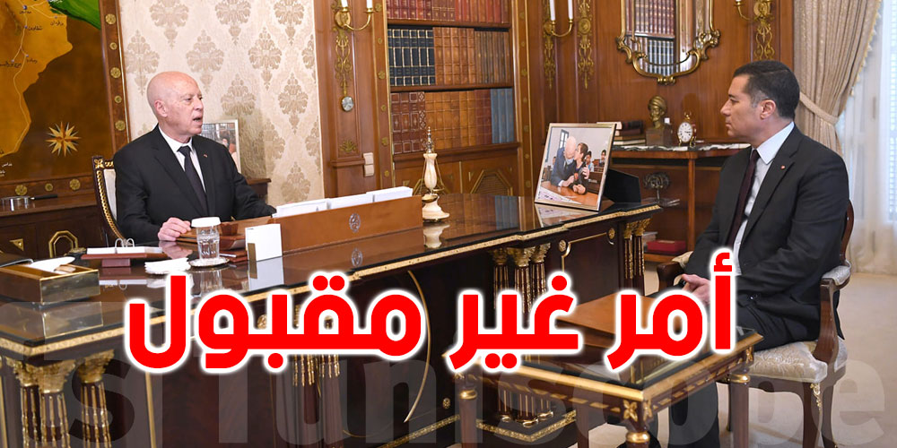في لقائه بوزر النقل: قيس سعيد يأمر بإيجاد حلول للتونسيين القادمين من الخارج