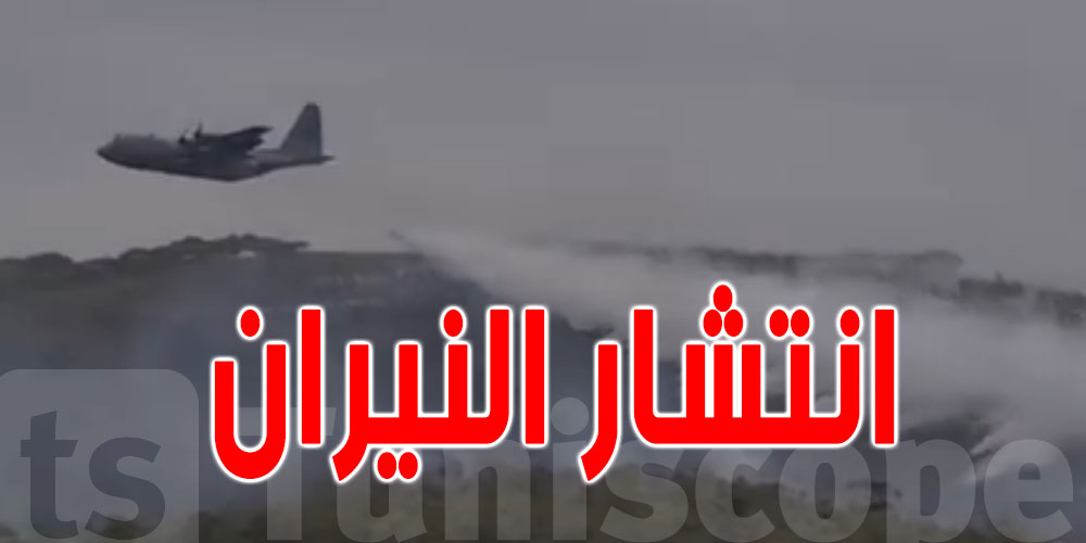 من جديد : النيران تشتعل في جبل النحلي 