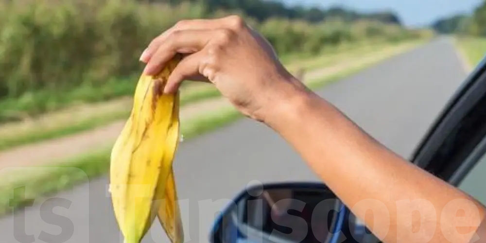 مقترح قانون : اللي يرمي الفضلات في الشارع باش يخلّص