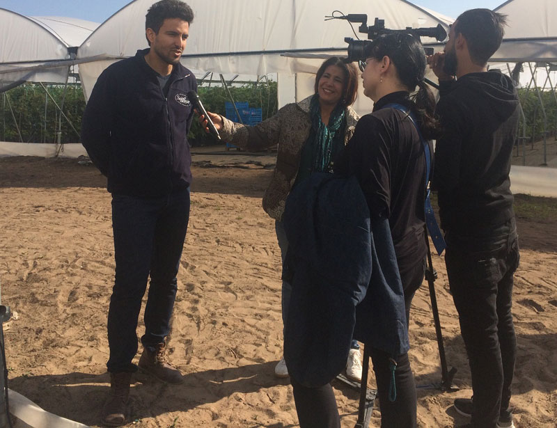 La production tunisienne de framboise, protagoniste à la télévision allemande