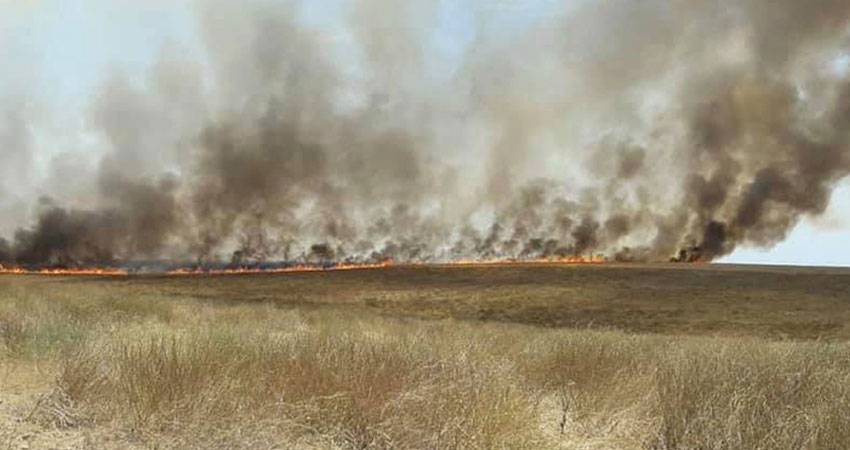 اتحاد الفلاحين يطالب بصرف تعويضات للمتضررين من الحرائق