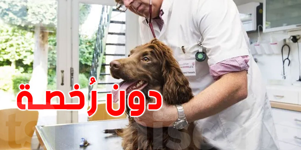 إيقاف شخص يُمارس الطبّ البيطري دون رخصة بسليانة