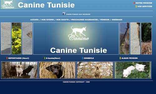 a-canine-tunisie-270210-1.jpg