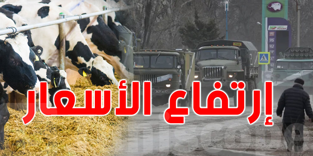 بسبب حرب أوكرانيا: أسعار العلف في تونس قد ترتفع