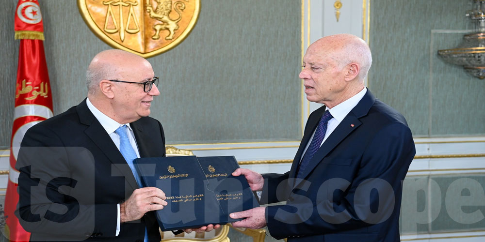 قيس سعيد يؤكد على دور لجنة التحاليل المالية في تحديد مصادر التمويلات المشبوهة