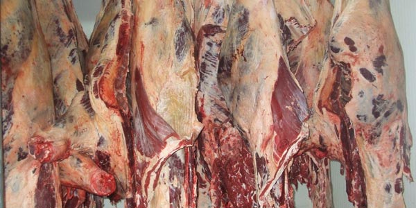 France : Trois abattoirs clandestins découverts pendant l'Aïd el-Kébir