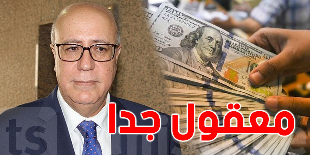 مروان العباسي: احتياطي 100 يوم من العملة الصعبة معقول جدا