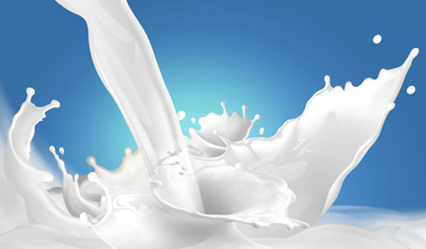 68 millions de litres de lait en stocks et cri d’alarme des centres de collecte