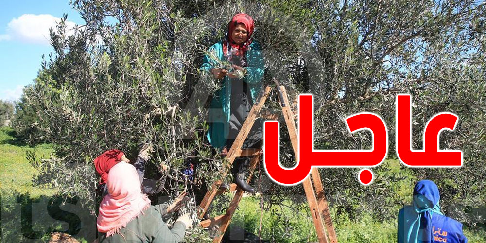 عاجل بسيدي بوزيد: سيارة تدهس 14 عاملة فلاحية وتقتل إحداهنّ