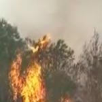 La parc Ennahli ferme temporairement ses portes