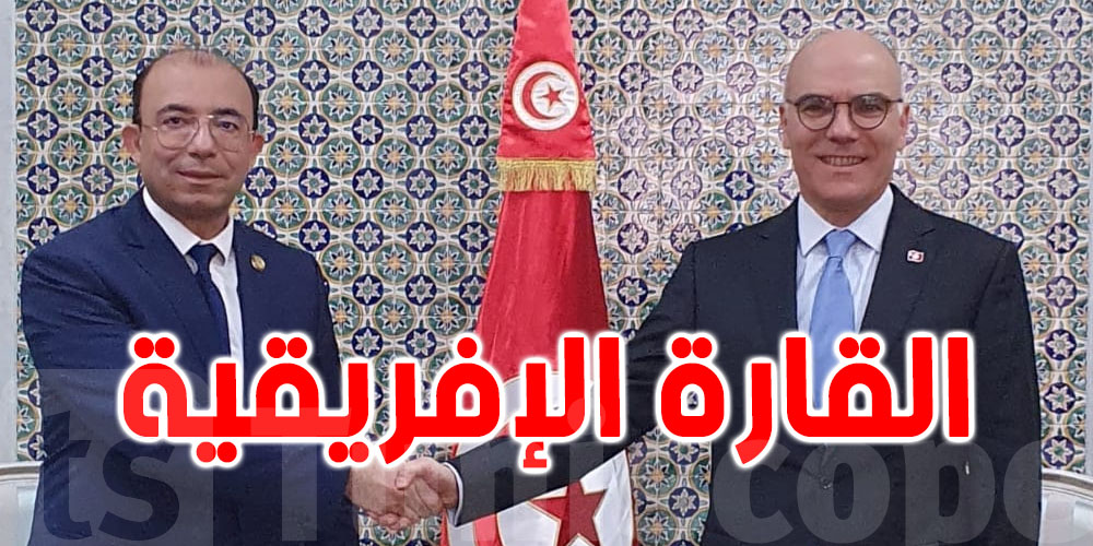 ماذا  في لقاء نبيل عمار برئيس مجلس الاعمال التونسي الافريقي؟
