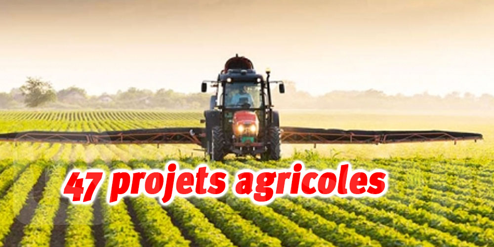 L’APIA a approuvé 47 projets agricoles d’une valeur de 12,5 MD