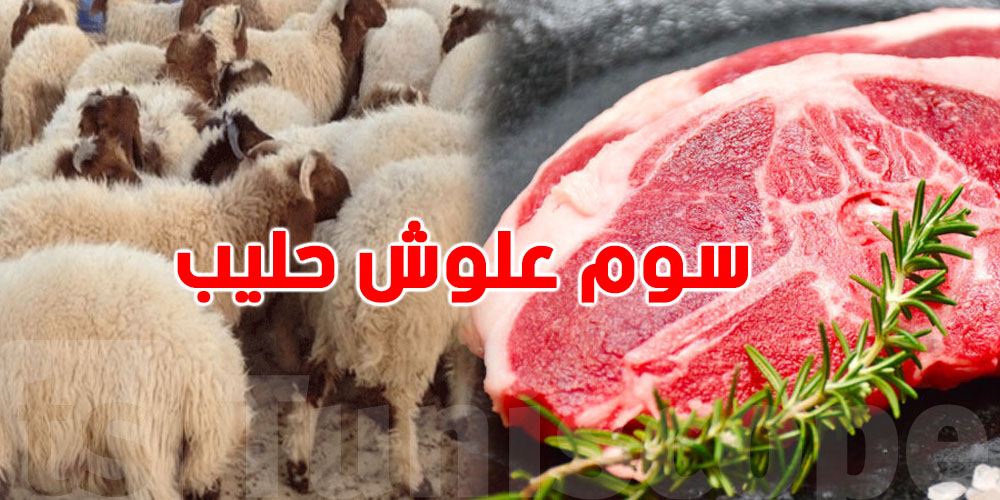 صادم-قبل رمضان: شوف قداش يوصل سوم 'العلوش الحليب'' 