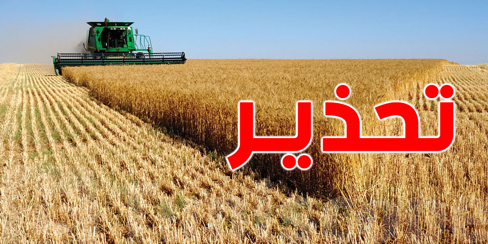 وزارة الفلاحة تحذر منتجي الحبوب