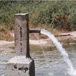 نحو 76 % من الموارد المائية في تونس مستغلة في القطاع الفلاحي