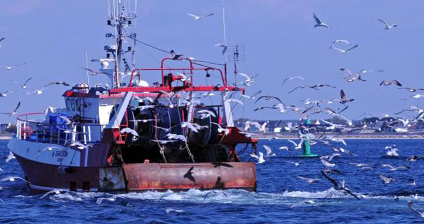 ارتفاع بـ 2% في إنتاج الصيد البحري خلال 2017