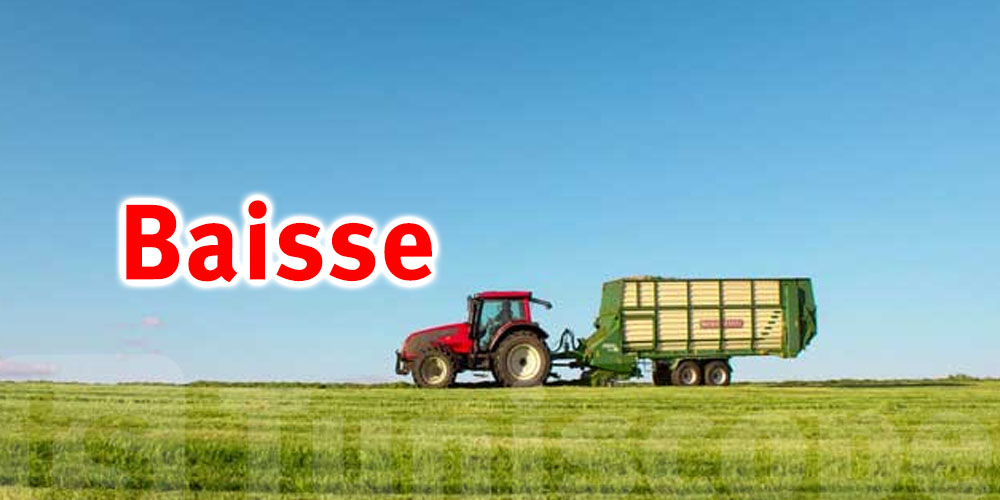 Baisse de 36,5% des investissements agricoles privés en 2024