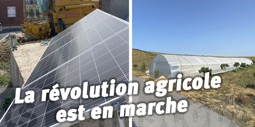 Tunisie : Mise en marche du Premier Système hydroponique D’Afrique