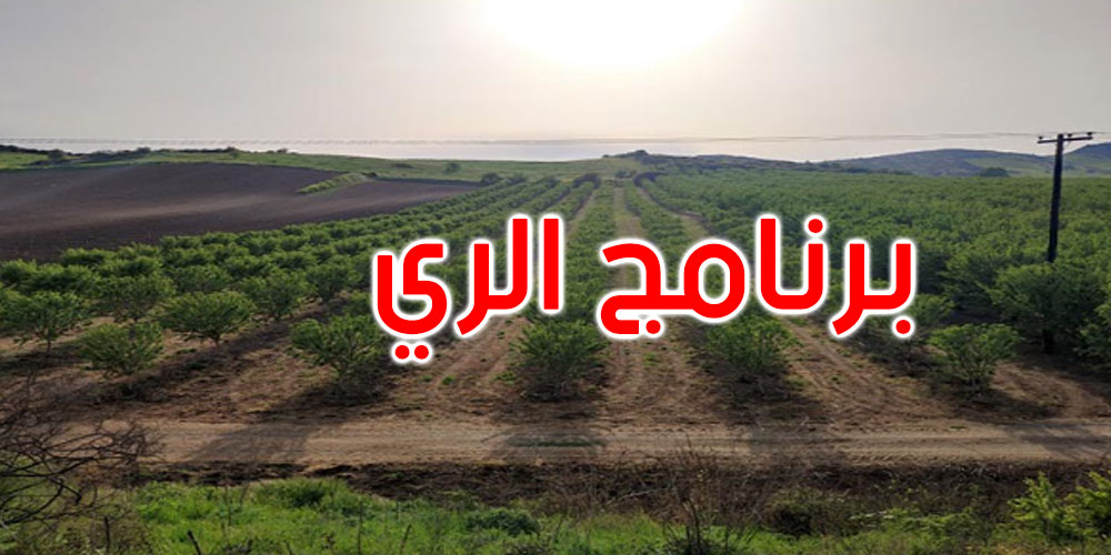وزارة الفلاحة تعلن عن برنامج لريّ الزياتين وأشجار اللوز
