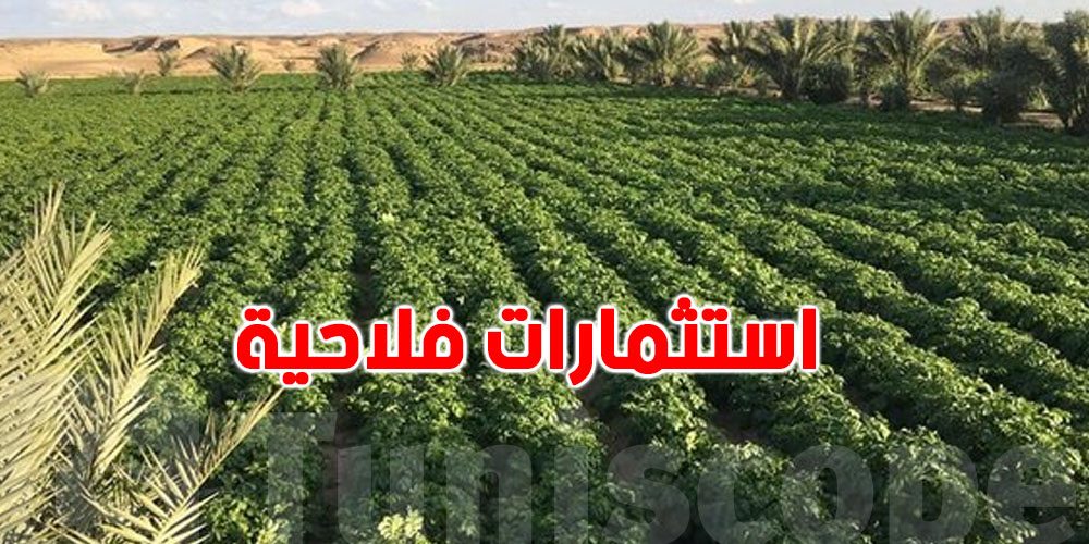 معتمدية ذهيبة : إنتعاشة في قطاع الفلاحة