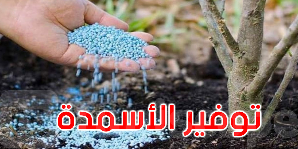 تأمين تزويد السوق بالأسمدة الكيميائية محور جلسة عمل وزارية