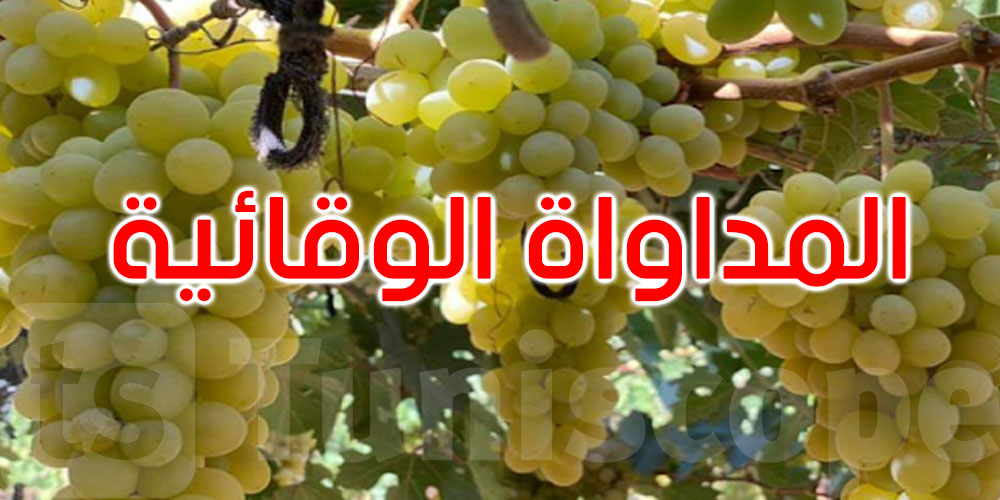 وزارة الفلاحة تدعو الفلاحيين إلى القيام بالمداواة الوقائية ضدّ مرض ‘الميلديو’
