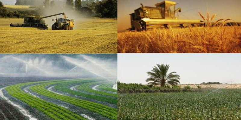  وزارة الفلاحة تعلن عن مشروع تنموي ضخم يشمل 8 ولايات 